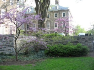 Historic State College location associated with Mosaic Engineering